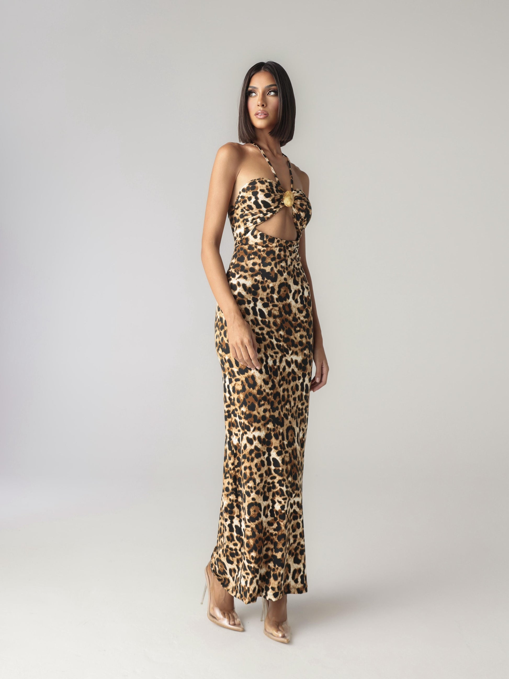 PRYANA DRESS