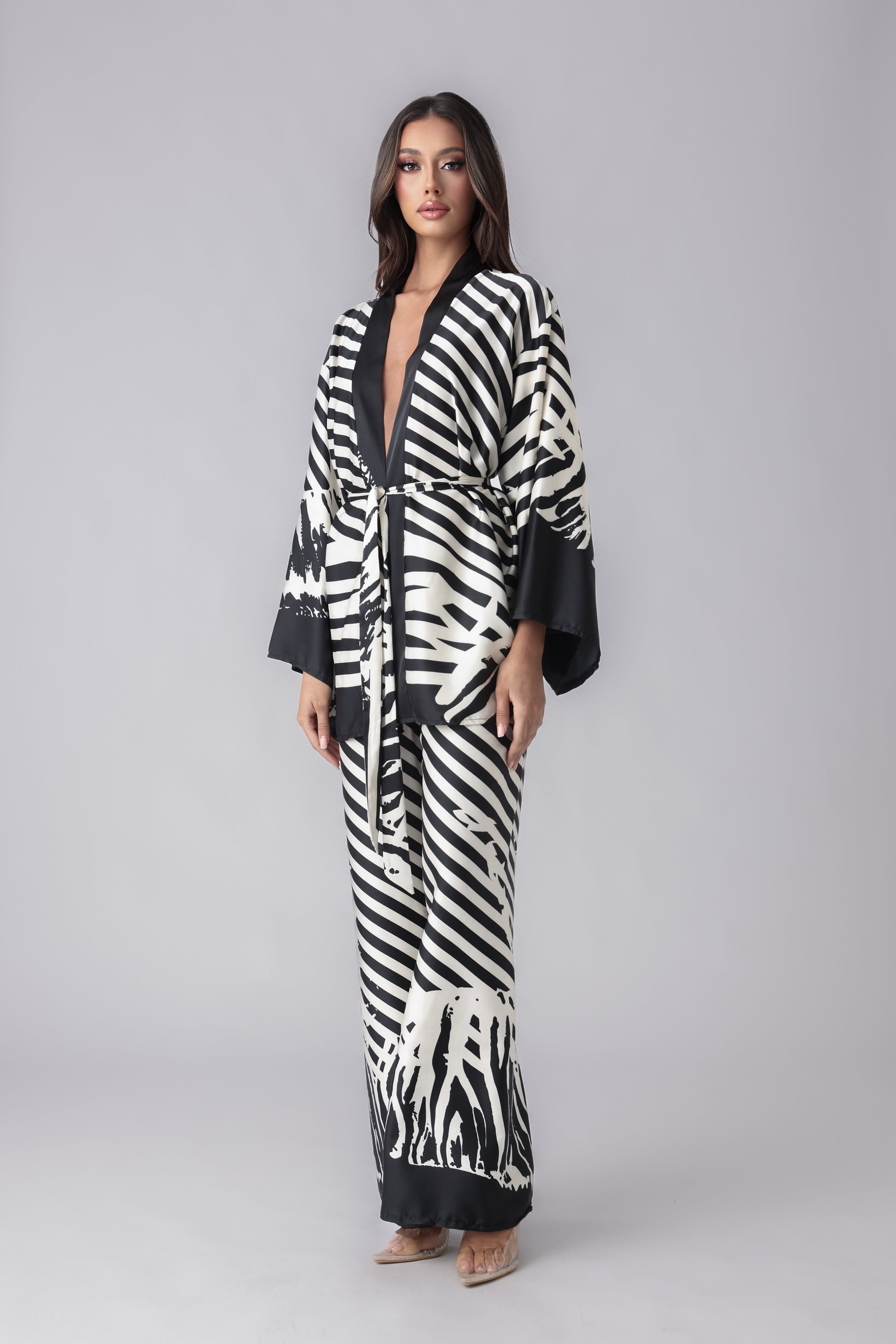 ZEBRA SET